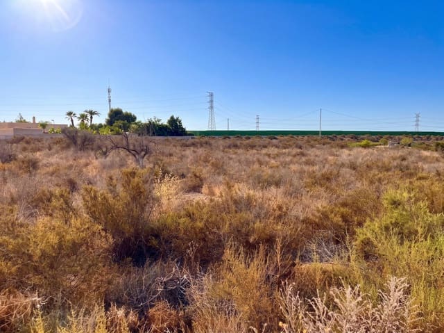 Terre non Aménagée à vendre à Peña de las Águilas, Elche / Elx - 185 000 € (Ref: 10034102)