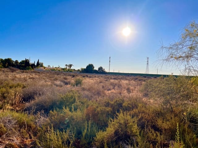 Terre non Aménagée à vendre à Peña de las Águilas, Elche / Elx - 185 000 € (Ref: 10034102)
