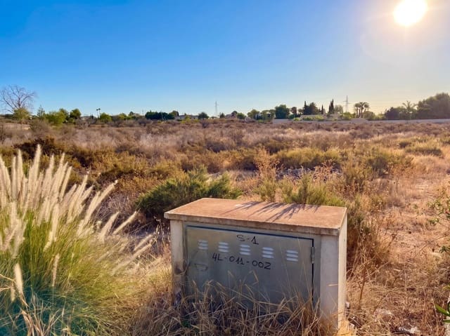 Terre non Aménagée à vendre à Peña de las Águilas, Elche / Elx - 185 000 € (Ref: 10034102)
