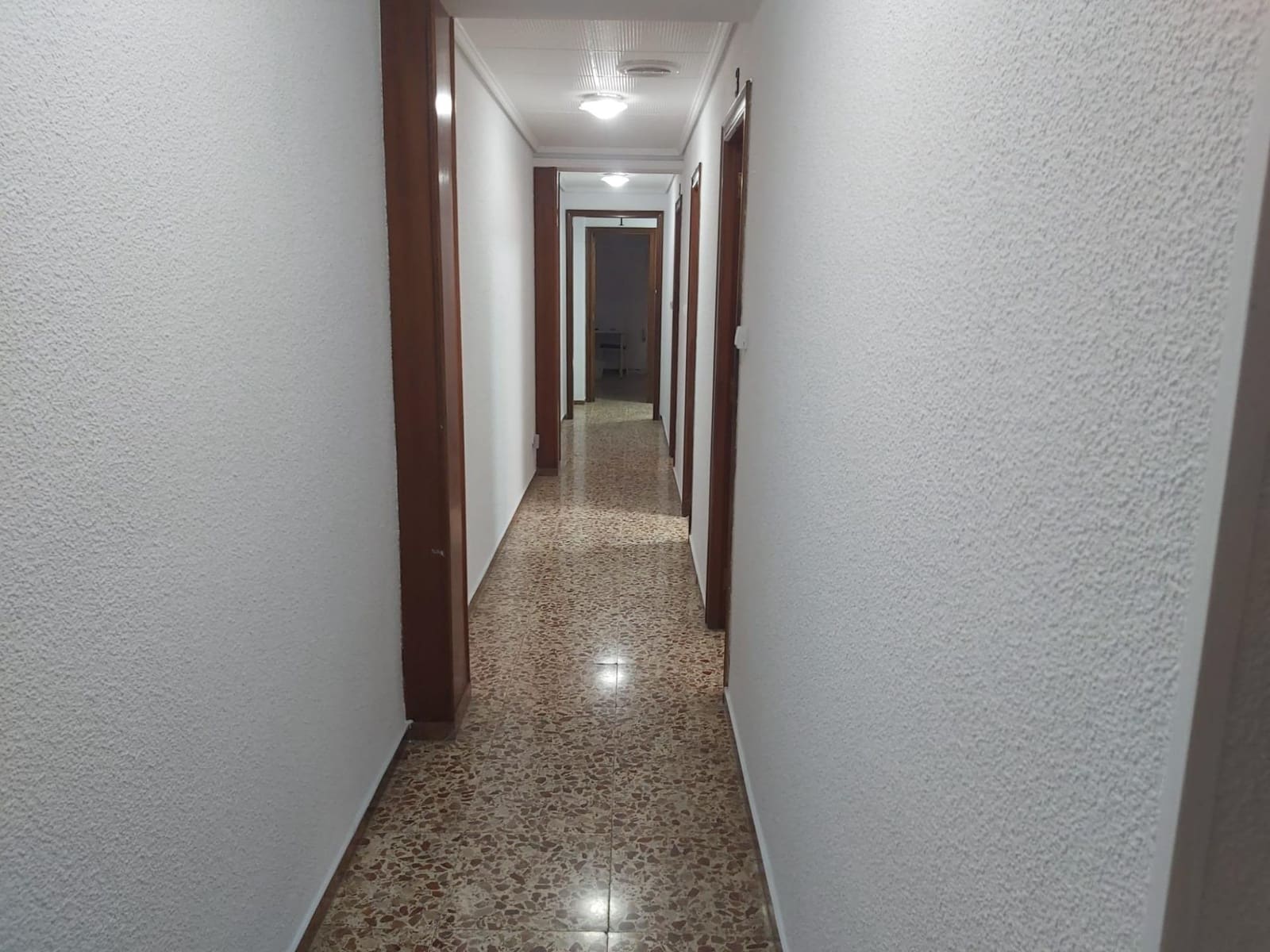 4 Zimmer Apartment zu vermieten in Elche / Elx - 300 € (Ref: 10120054)