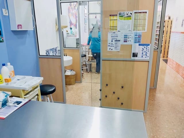 Kommersiell til salgs i Elche / Elx - € 75 000 (Ref: 10185101)