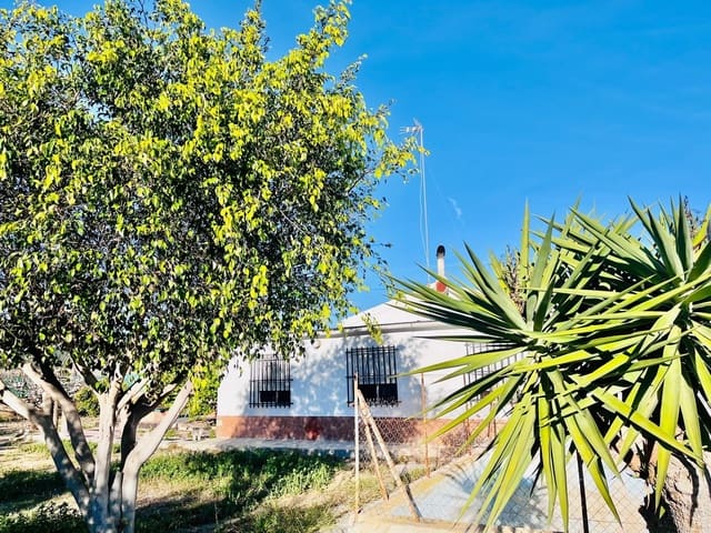 5 soveværelse Villa til salg i Elche / Elx med swimmingpool garage - € 259.900 (Ref: 9528143)