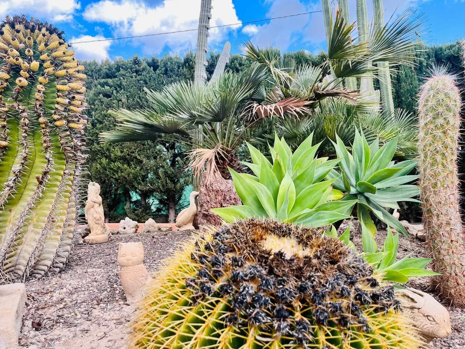 4 sypialnia Willa na sprzedaż w Elche / Elx z basenem garażem - 479 000 € (Ref: 9528153)