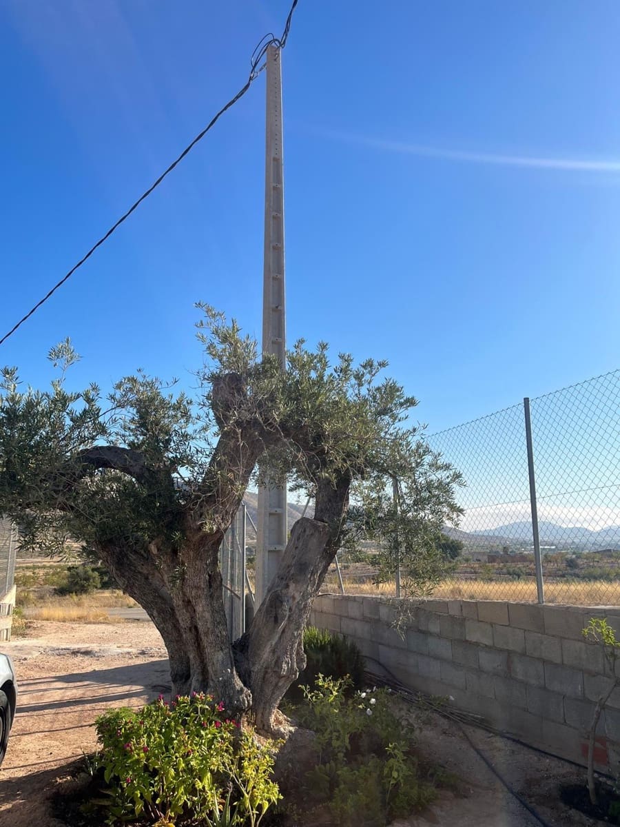 1 makuuhuone Maalaistalo myytävänä paikassa Hondon de los Frailes - 78 000 € (Ref: 9528159)