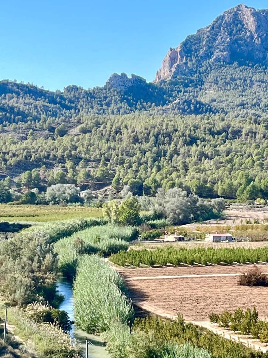 2 bedroom Semi-detached Villa for sale in Cieza - € 145,000 (Ref: 9541588)