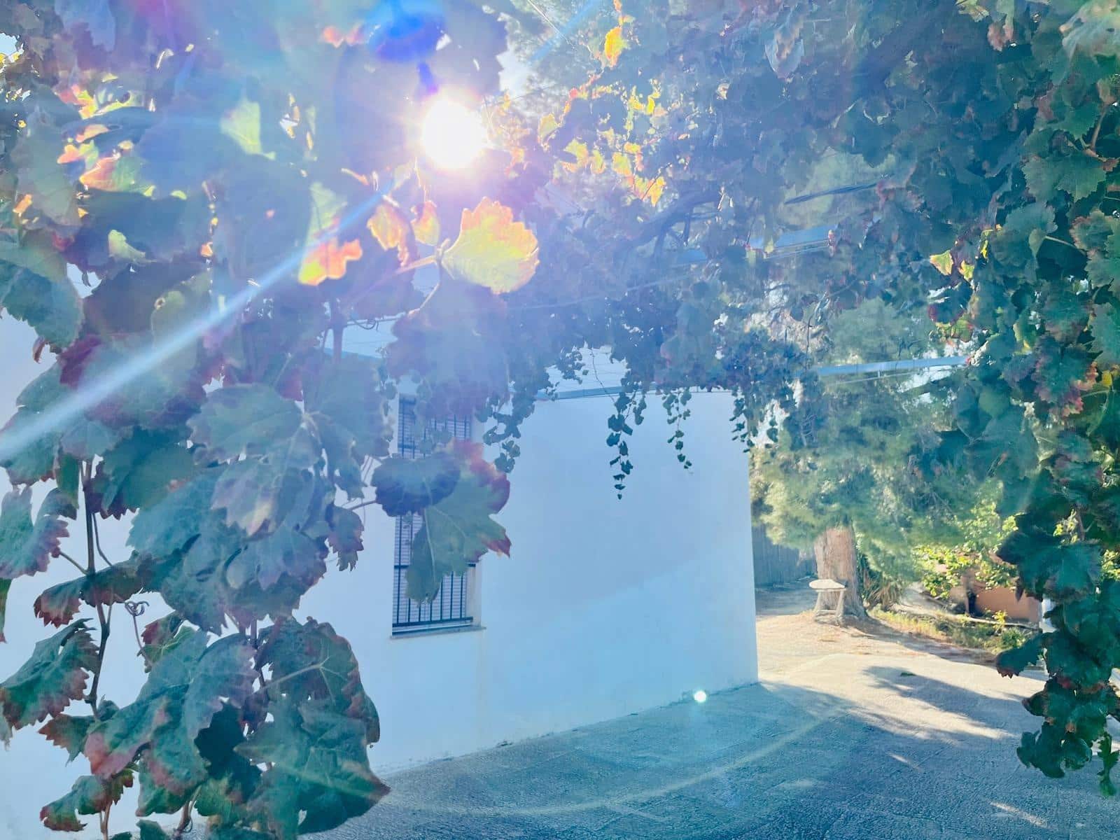 2 bedroom Semi-detached Villa for sale in Cieza - € 145,000 (Ref: 9541588)