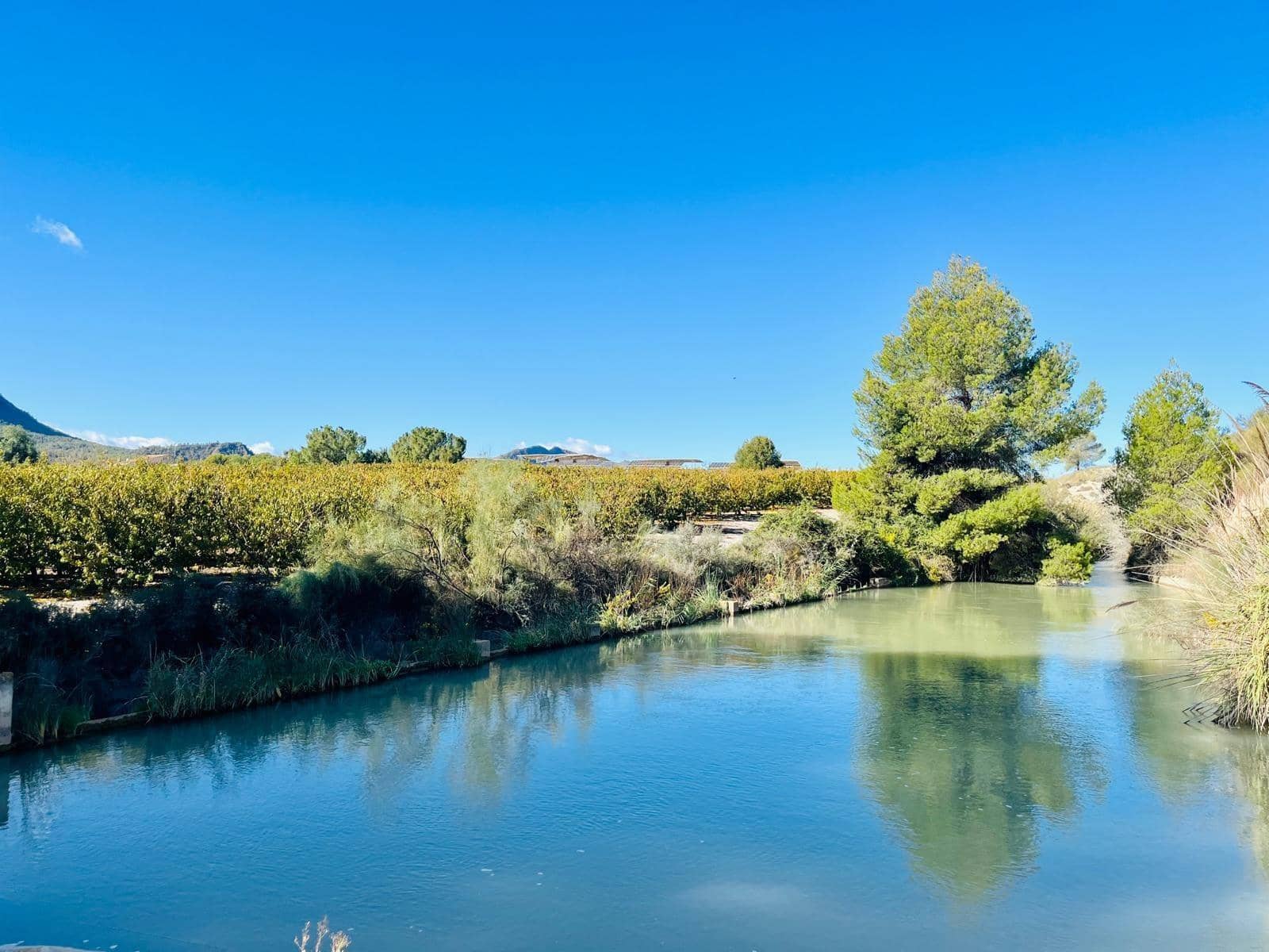 2 bedroom Semi-detached Villa for sale in Cieza - € 145,000 (Ref: 9541588)