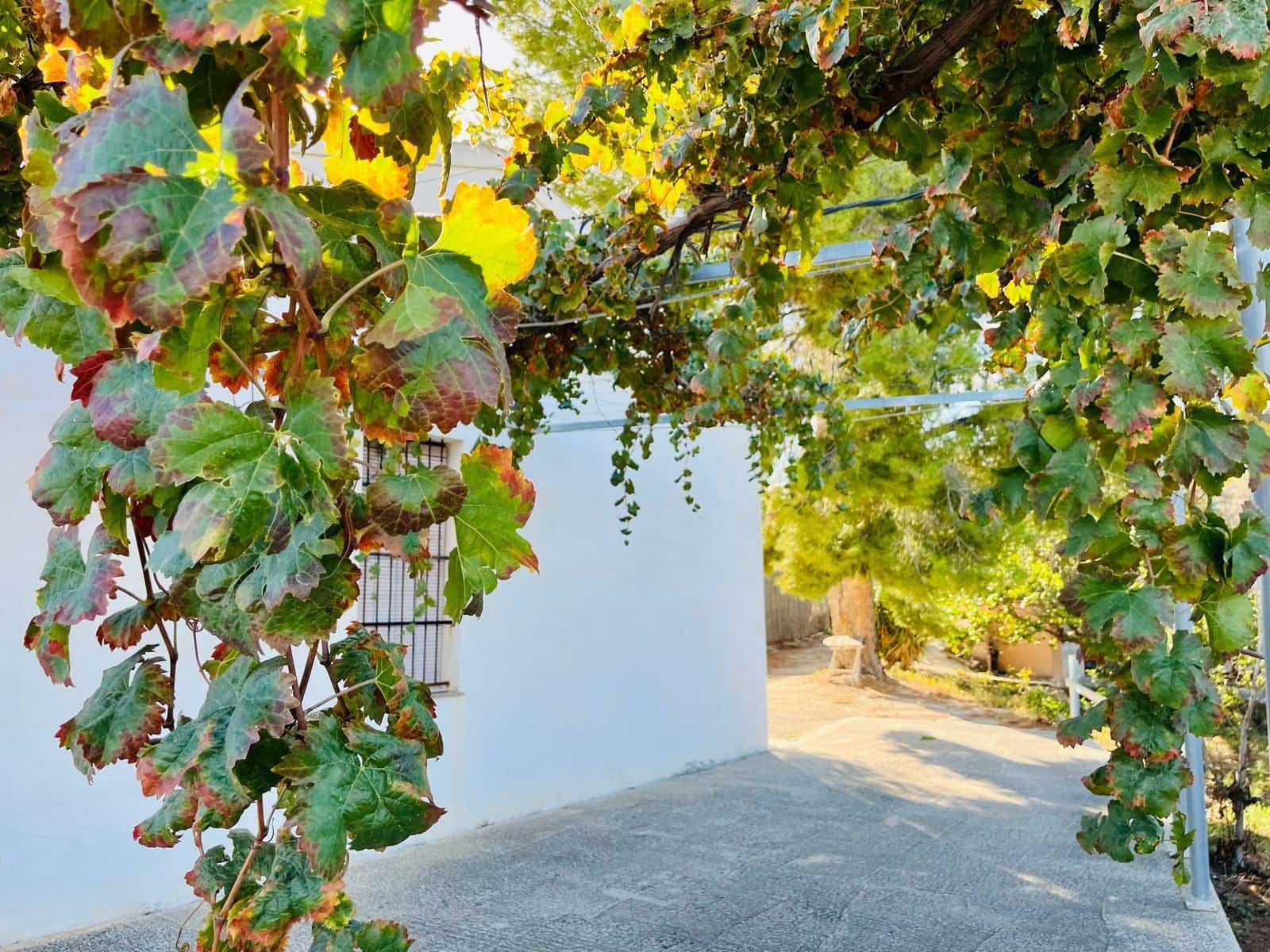 2 bedroom Semi-detached Villa for sale in Cieza - € 145,000 (Ref: 9541588)