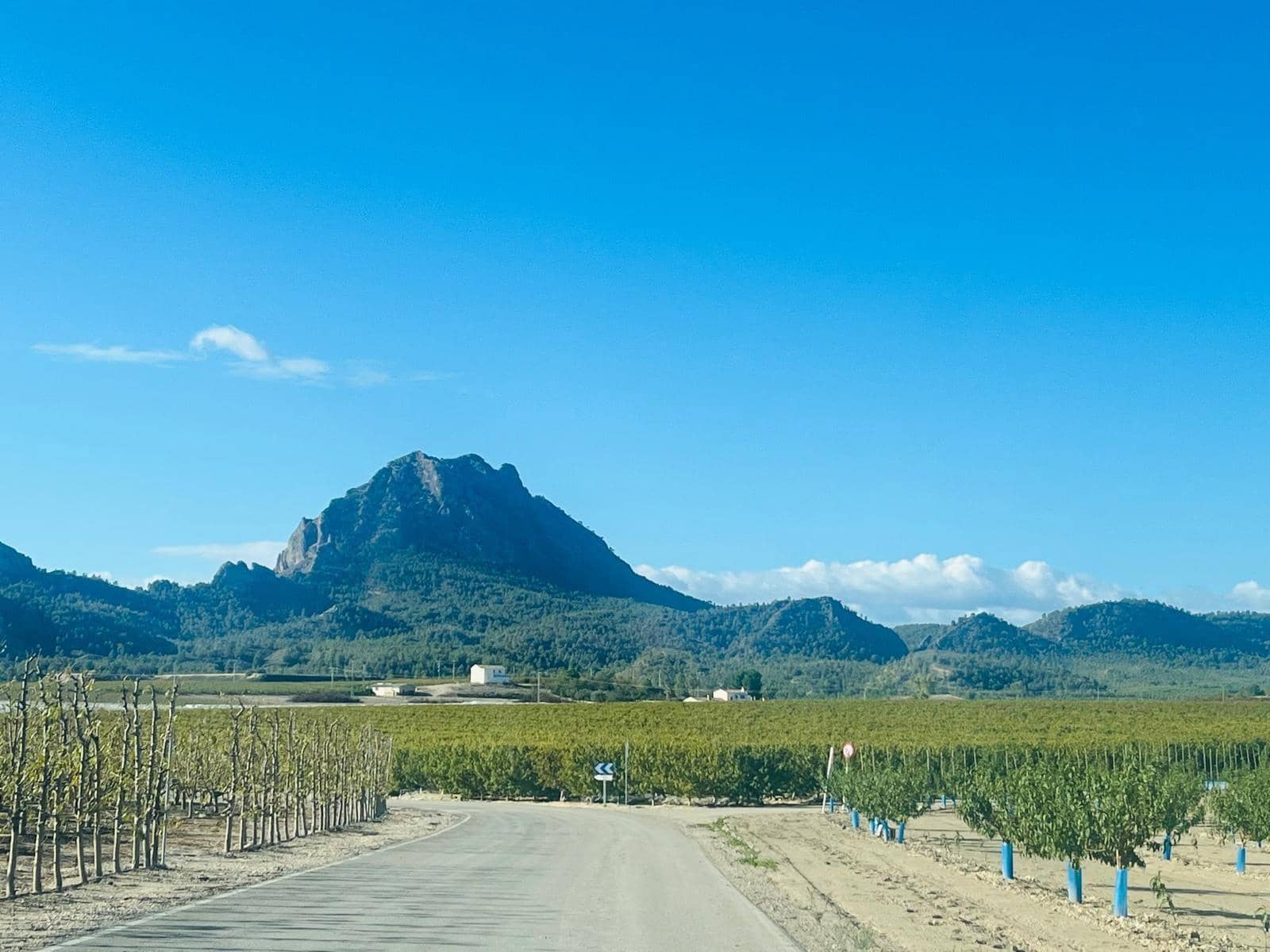 2 bedroom Semi-detached Villa for sale in Cieza - € 145,000 (Ref: 9541588)