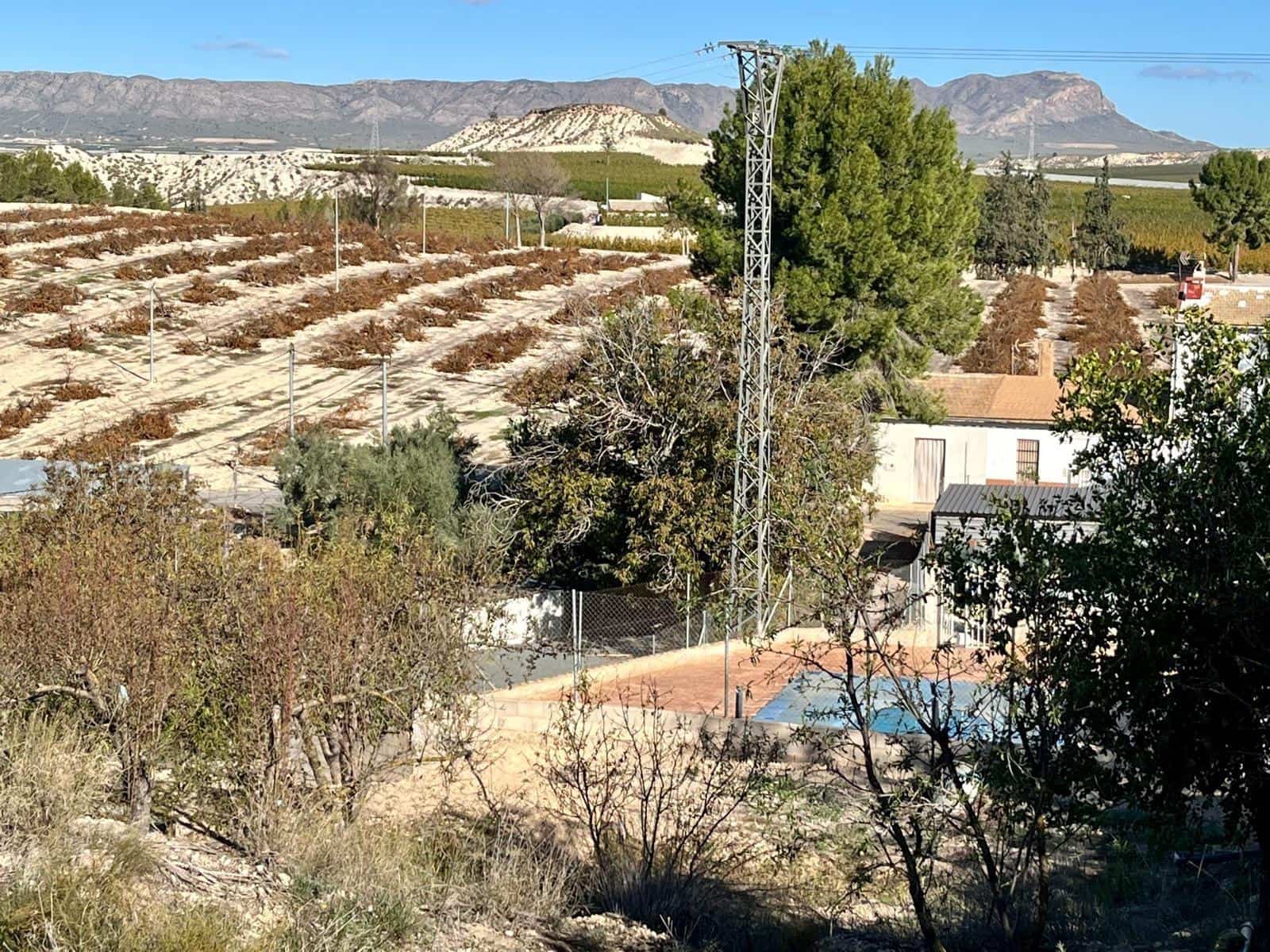 2 bedroom Semi-detached Villa for sale in Cieza - € 145,000 (Ref: 9541588)