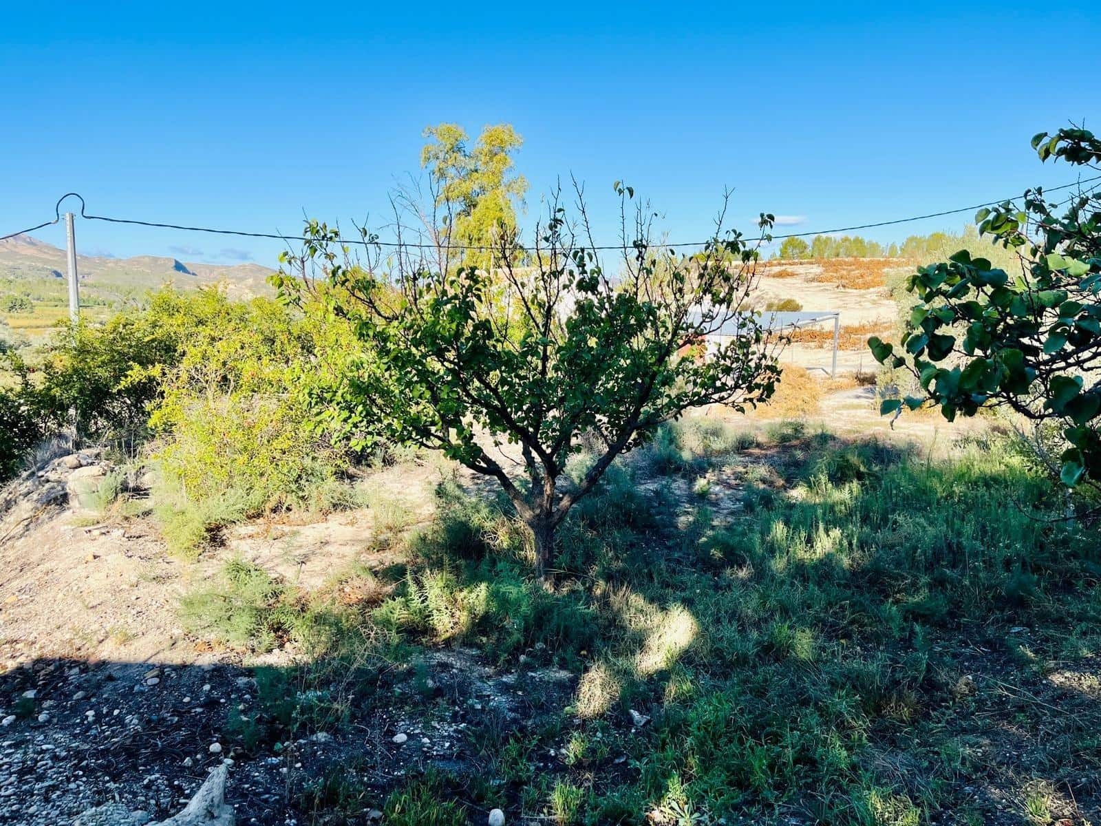 2 bedroom Semi-detached Villa for sale in Cieza - € 145,000 (Ref: 9541588)