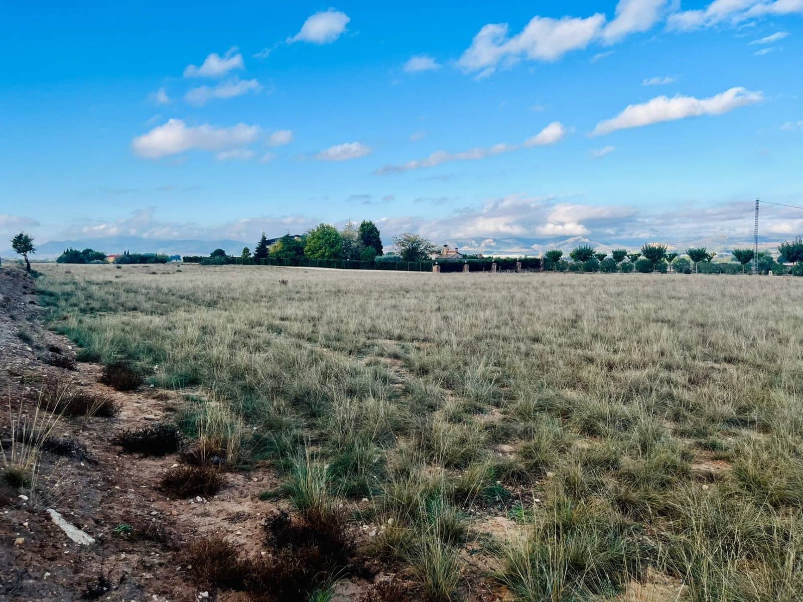 Undeveloped Land for sale in Villena - € 40,000 (Ref: 9541589)