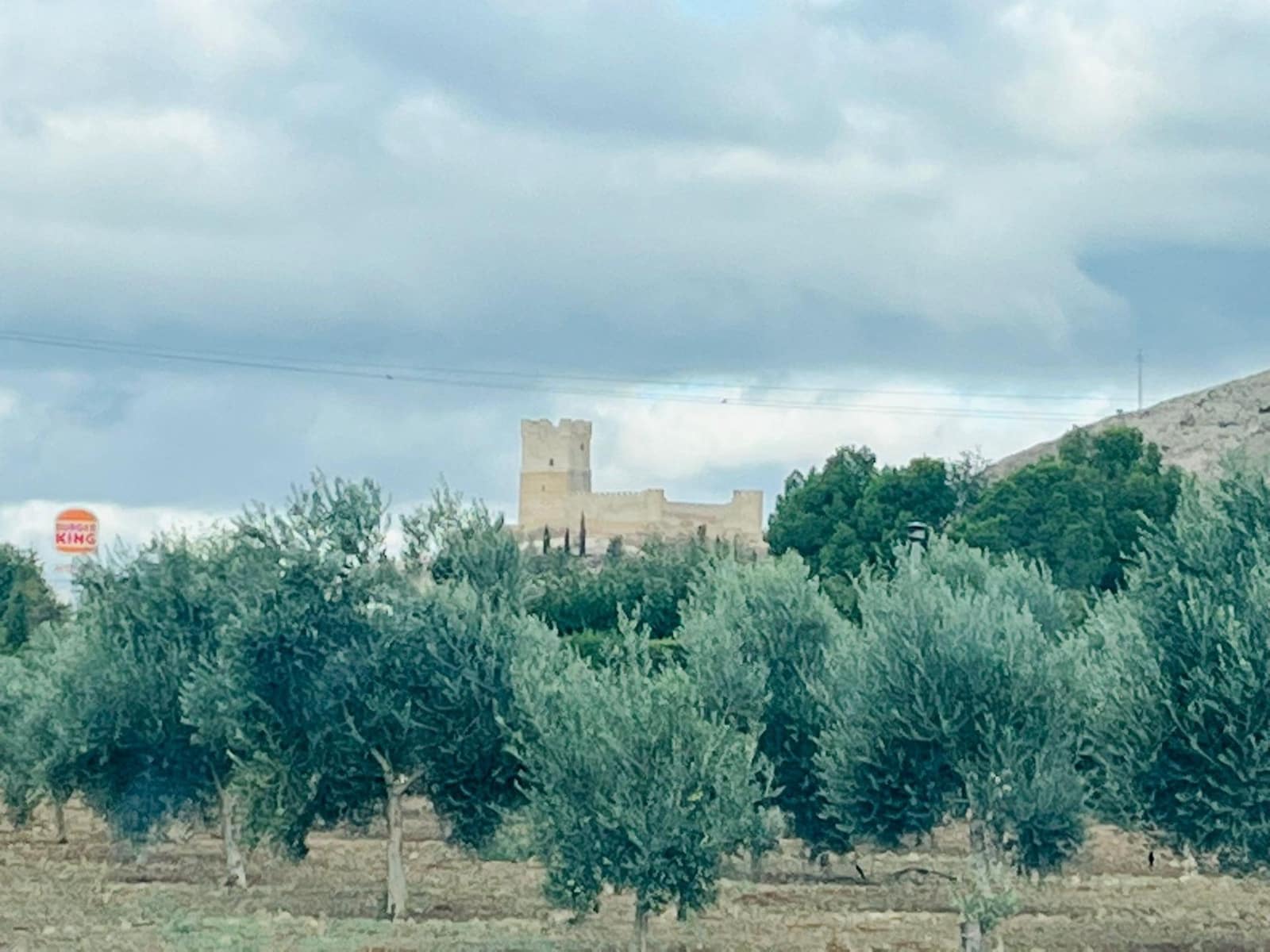 Undeveloped Land for sale in Villena - € 40,000 (Ref: 9541589)