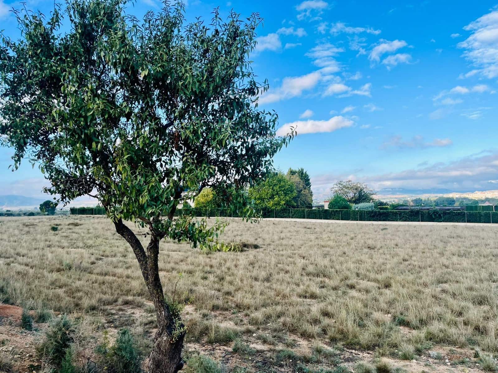 Undeveloped Land for sale in Villena - € 40,000 (Ref: 9541589)