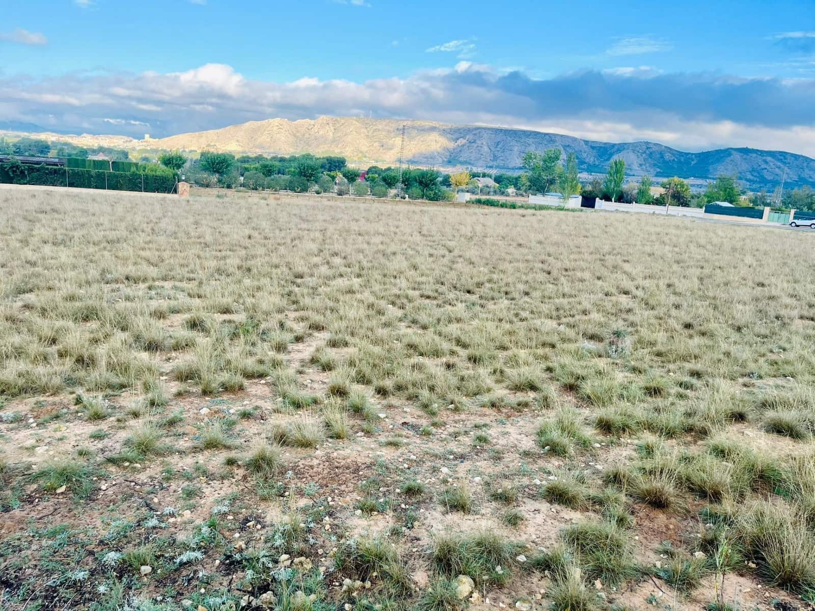 Undeveloped Land for sale in Villena - € 40,000 (Ref: 9541589)