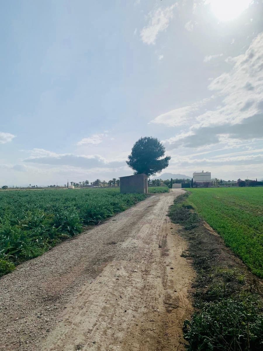 Terreno Non Edificato in vendita in Catral - 139.000 € (Rif: 9541591)