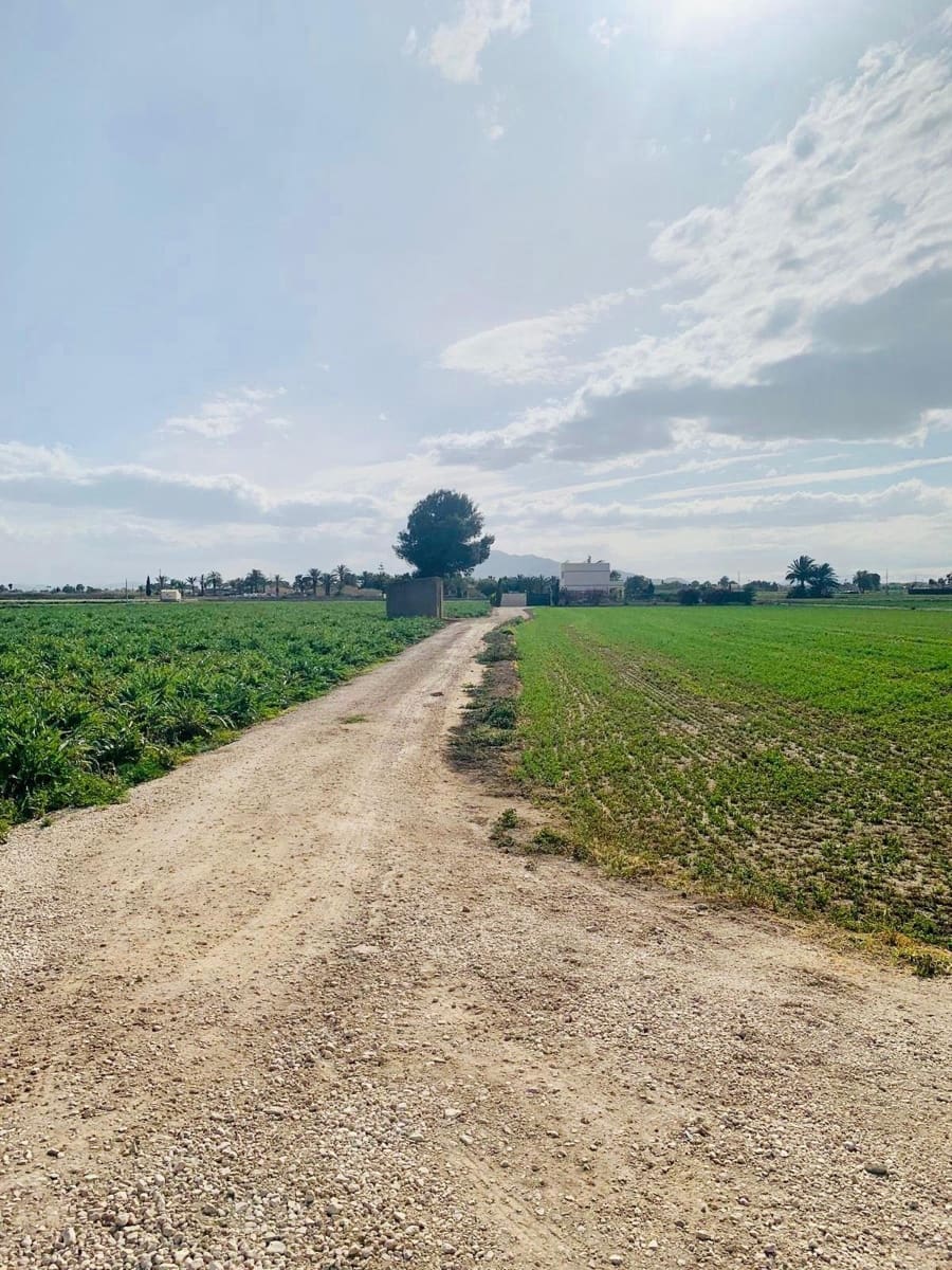 Terreno Non Edificato in vendita in Catral - 139.000 € (Rif: 9541591)