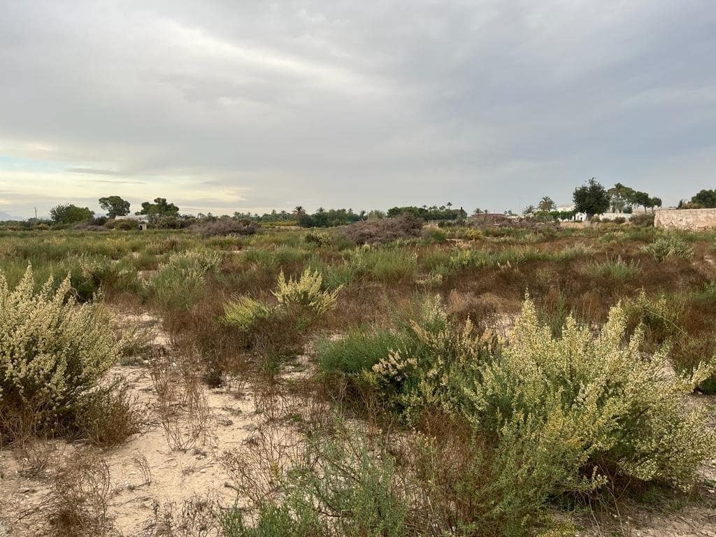 Building Plot for sale in Algoda - € 220,000 (Ref: 9541600)