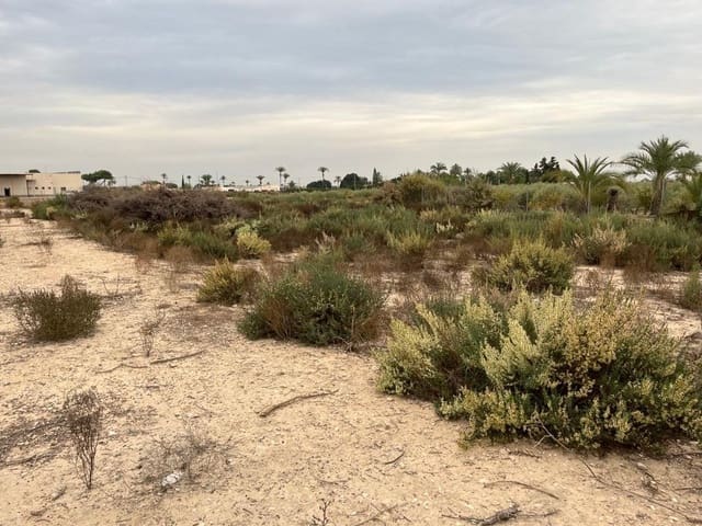 Bauplatz zu verkaufen in Algoda, Elche / Elx - 220.000 € (Ref: 9541600)