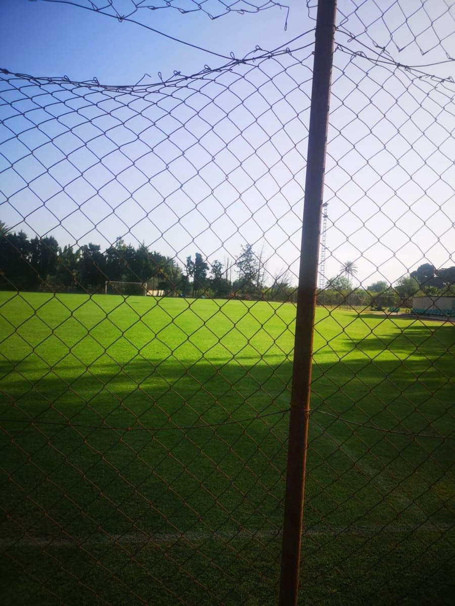 Terreno para Construção para venda em Elche / Elx - 170 000 € (Ref: 9551863)