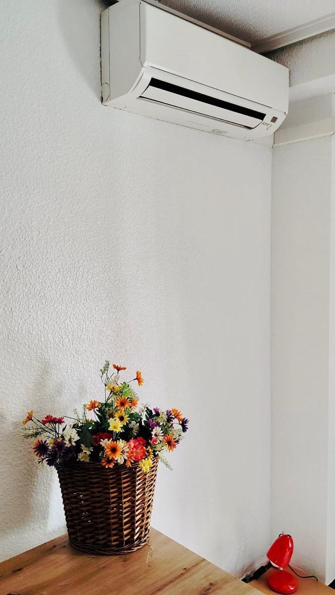 1 soveværelse Lejlighed til leje i Elche / Elx - € 300 (Ref: 9562048)