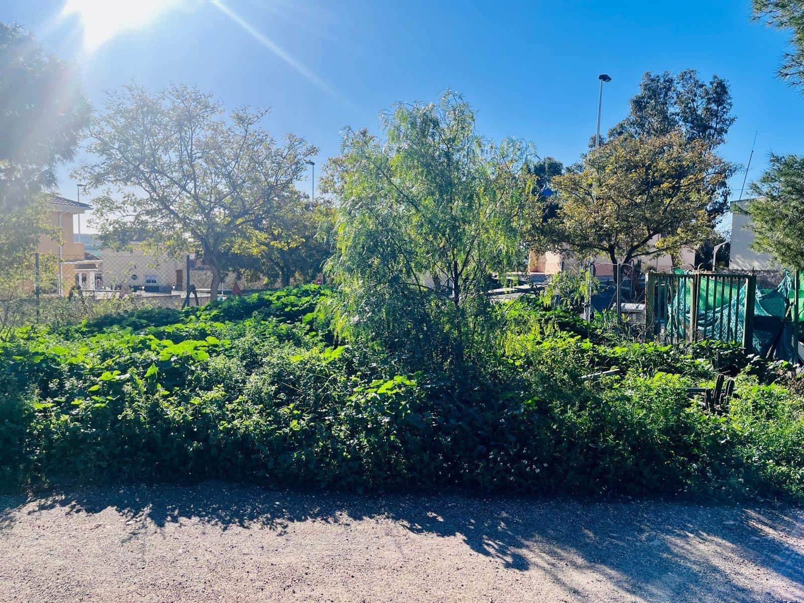 3 bedroom Finca/Country House for sale in Elche / Elx with garage - € 170,000 (Ref: 9583043)