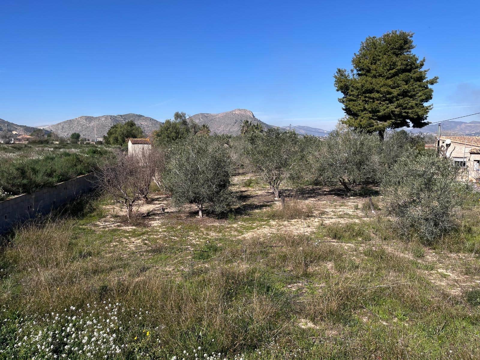 4 soverom Villa til salgs i Aspe med svømmebasseng - € 435 000 (Ref: 9630257)