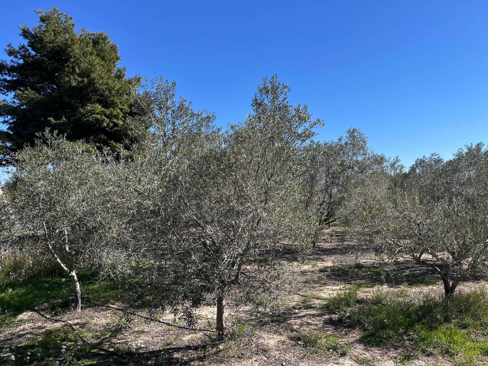 4 soverom Villa til salgs i Aspe med svømmebasseng - € 435 000 (Ref: 9630257)