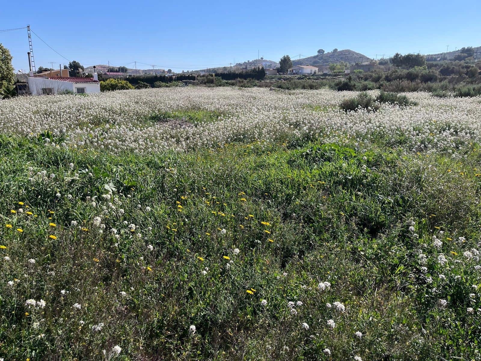 4 soverom Villa til salgs i Aspe med svømmebasseng - € 435 000 (Ref: 9630257)