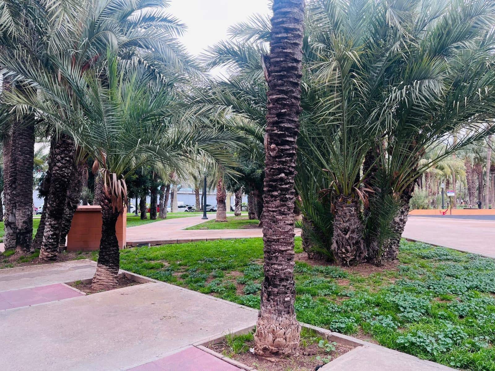 3 sovrum Lägenhet till salu i Elche / Elx - 169 700 € (Ref: 9674440)