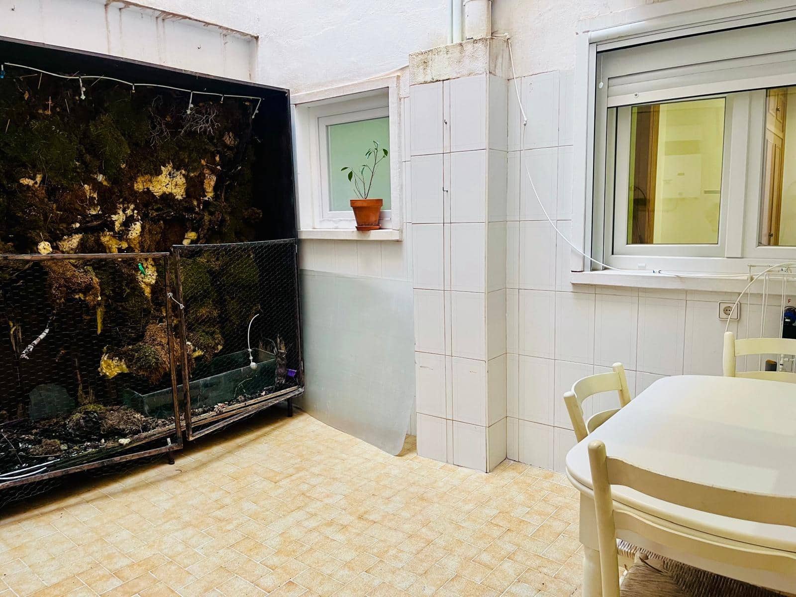 3 quarto Apartamento para arrendar em Elche / Elx - 900 € (Ref: 9785978)