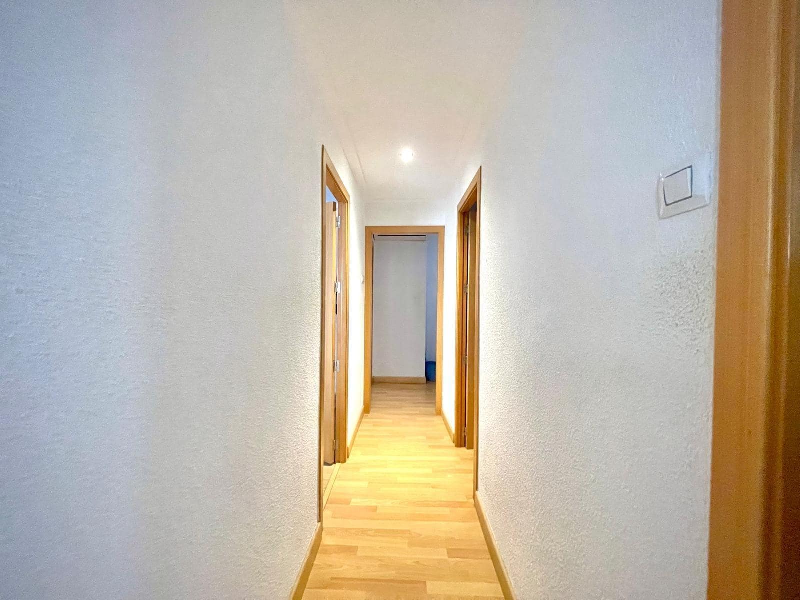 4 Zimmer Apartment zu vermieten in Elche / Elx - 300 € (Ref: 9839465)