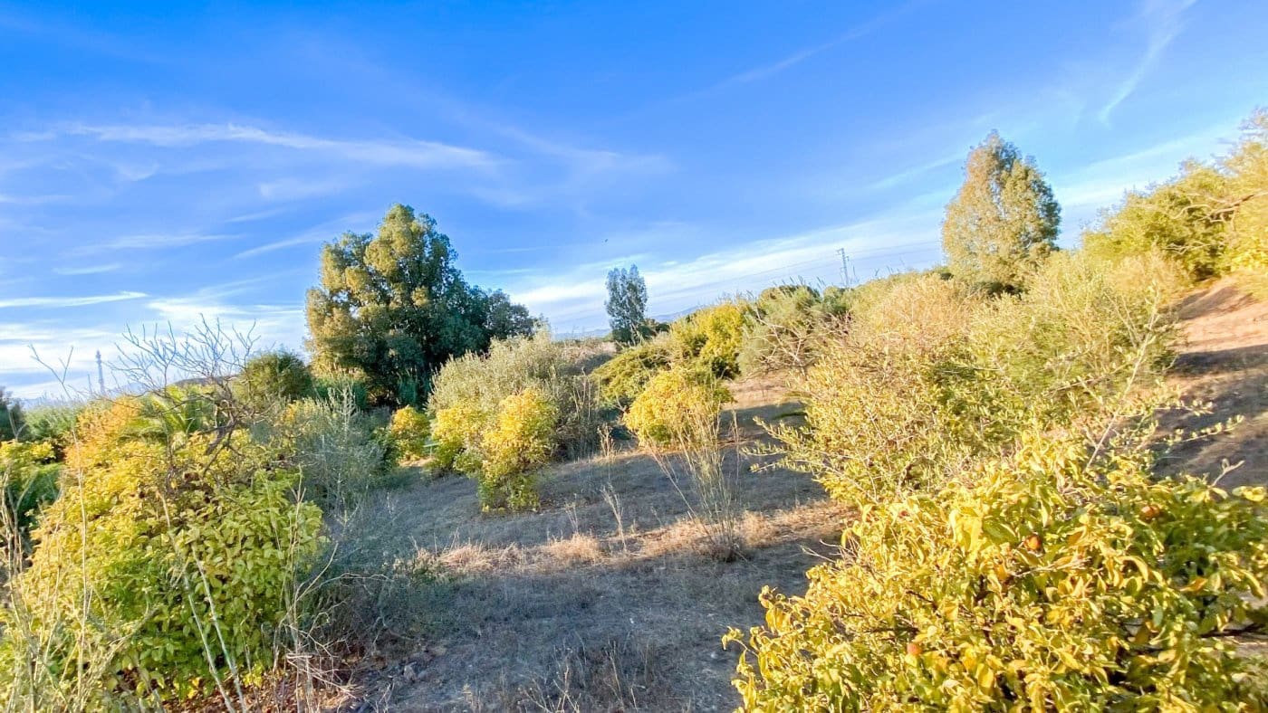 Finca/Landehus til salg i Campanillas - € 385.000 (Ref: 9338850)