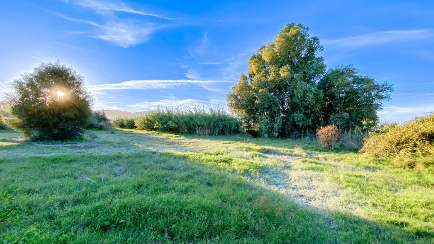 Finca/Landehus til salg i Campanillas - € 385.000 (Ref: 9338850)