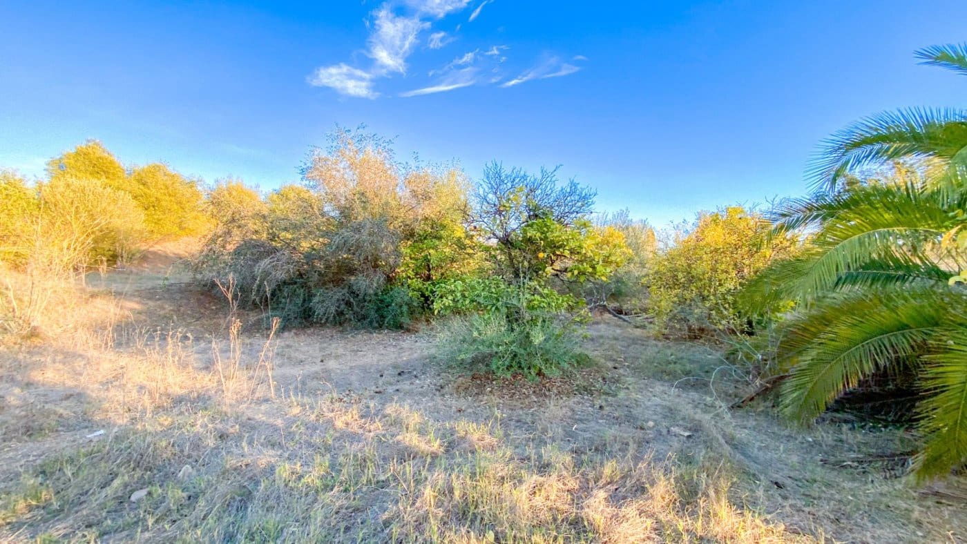 Finca/Landehus til salg i Campanillas - € 385.000 (Ref: 9338850)