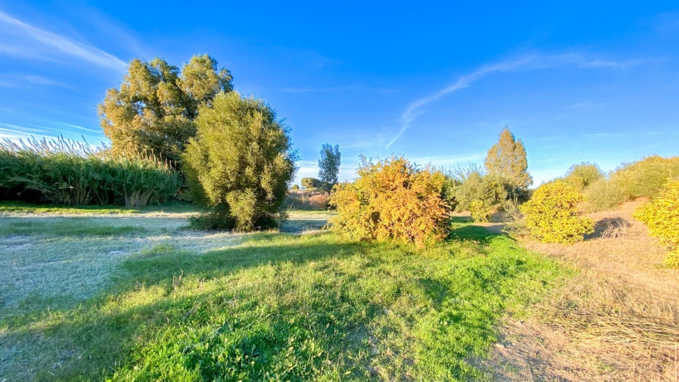 Finca/Landehus til salg i Campanillas - € 385.000 (Ref: 9338850)