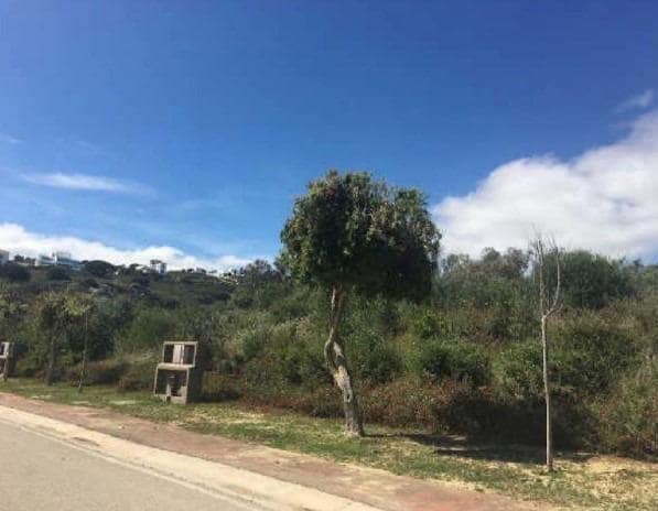 Area Edificabile in vendita in Sotogrande Alto, San Roque - 540.000 € (Rif: 9338871)