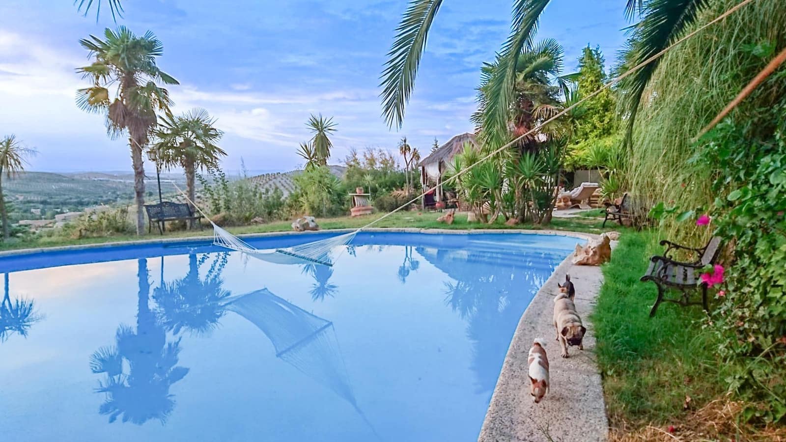 6 sovrum Villa till salu i Jaen stad med pool garage - 359 900 € (Ref: 9338896)