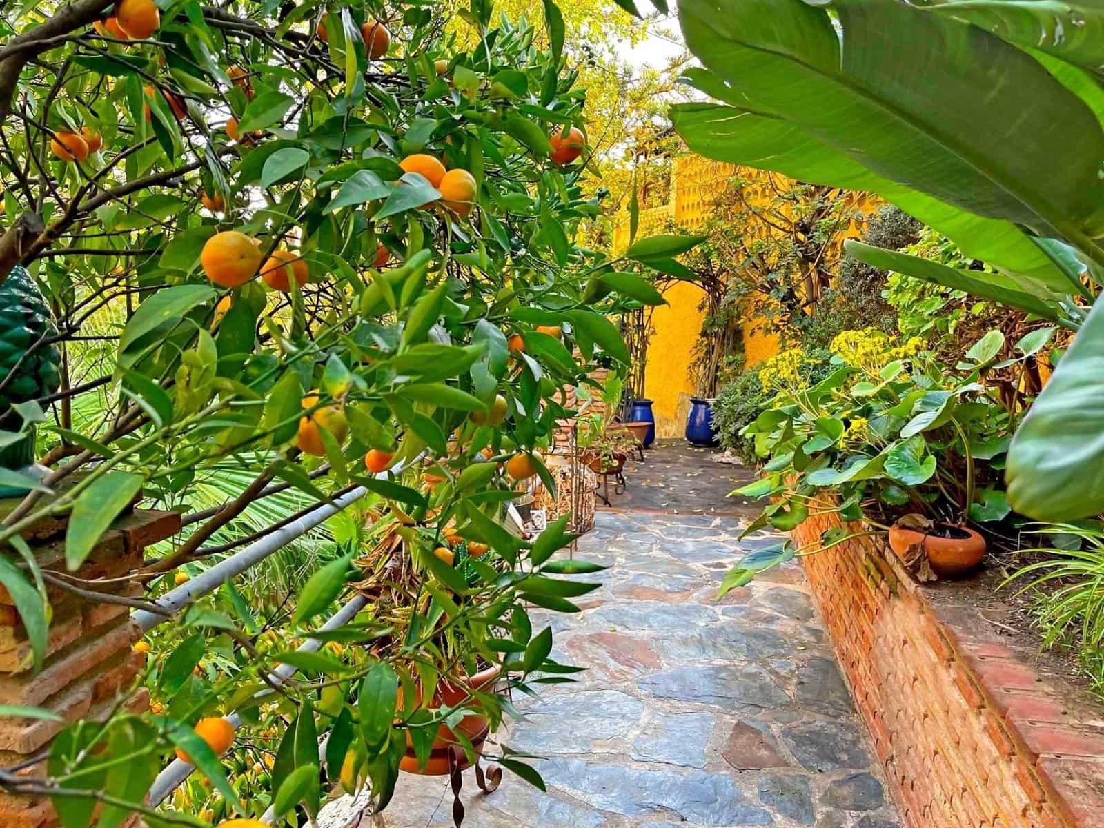 Tomt till salu i Malaga stad - 600 000 € (Ref: 9338910)