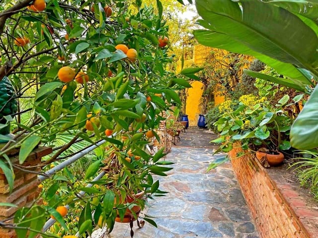 Tomt till salu i Pedregalejo, Málaga stad - 600 000 € (Ref: 9338910)