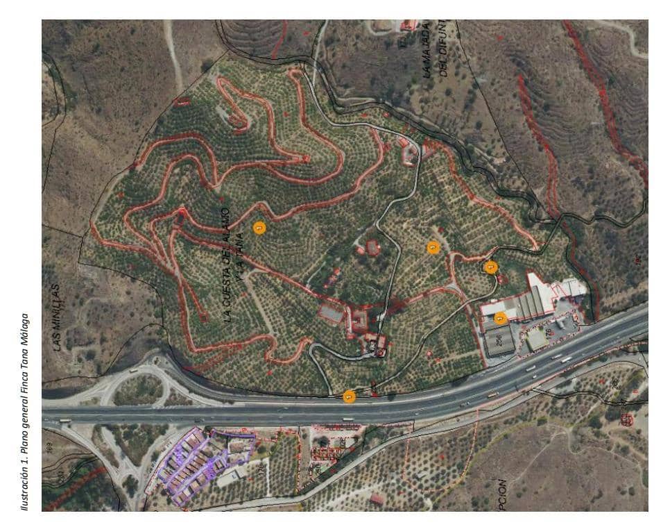 Bedrijf te koop in Malaga stad - € 2.590.000 (Ref: 9338912)