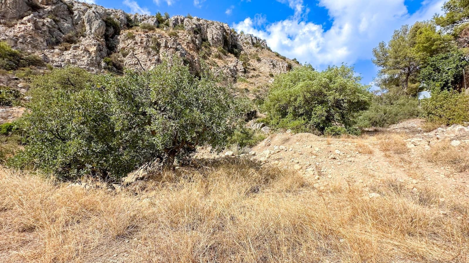 Byggetomt til salgs i Malaga by - € 1 167 000 (Ref: 9338957)