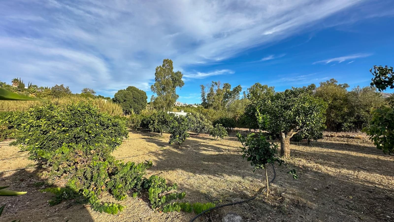 Terreno para Construção para venda em Alhaurin el Grande - 170 000 € (Ref: 9338966)