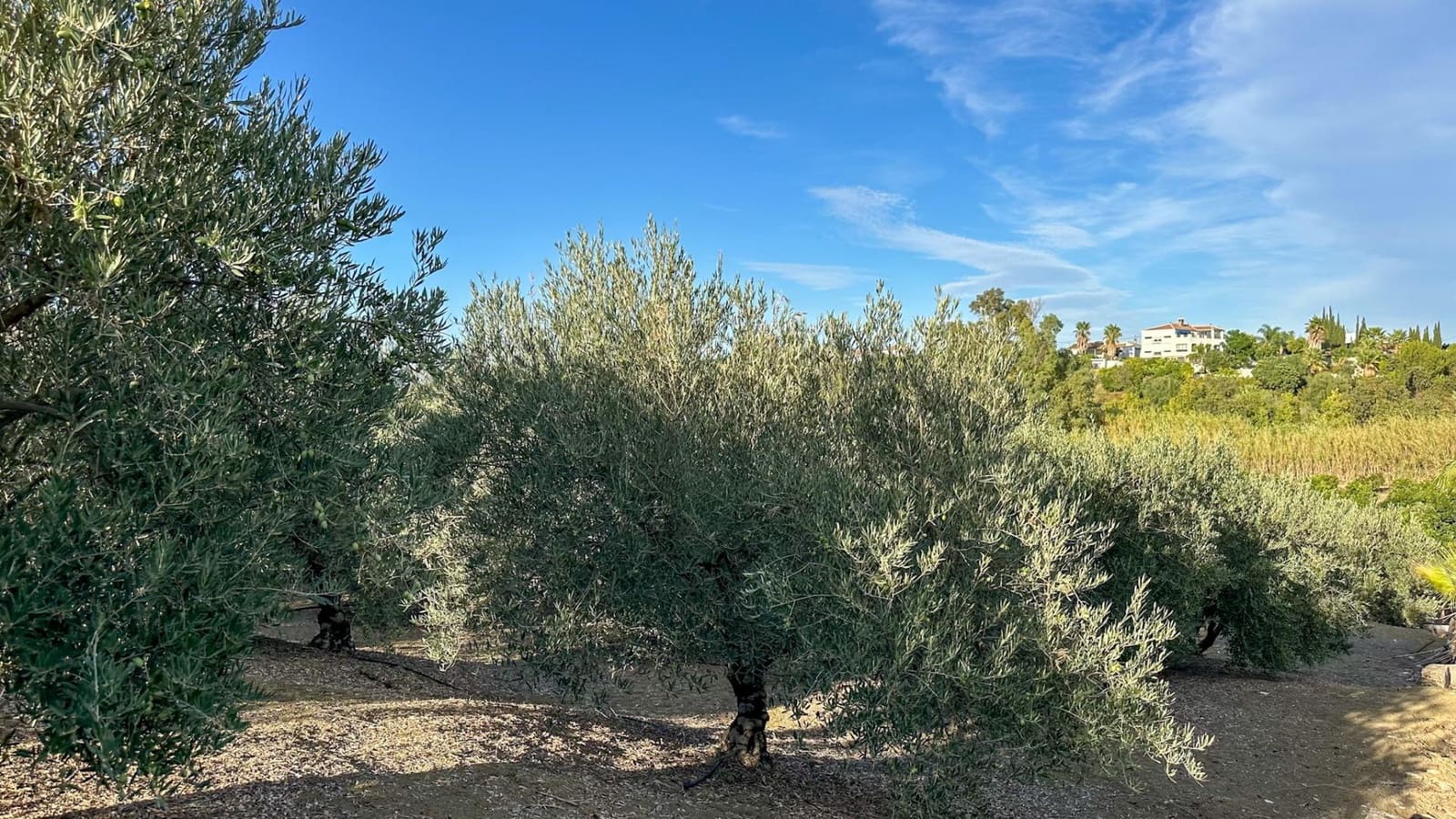 Terreno para Construção para venda em Alhaurin el Grande - 170 000 € (Ref: 9338966)