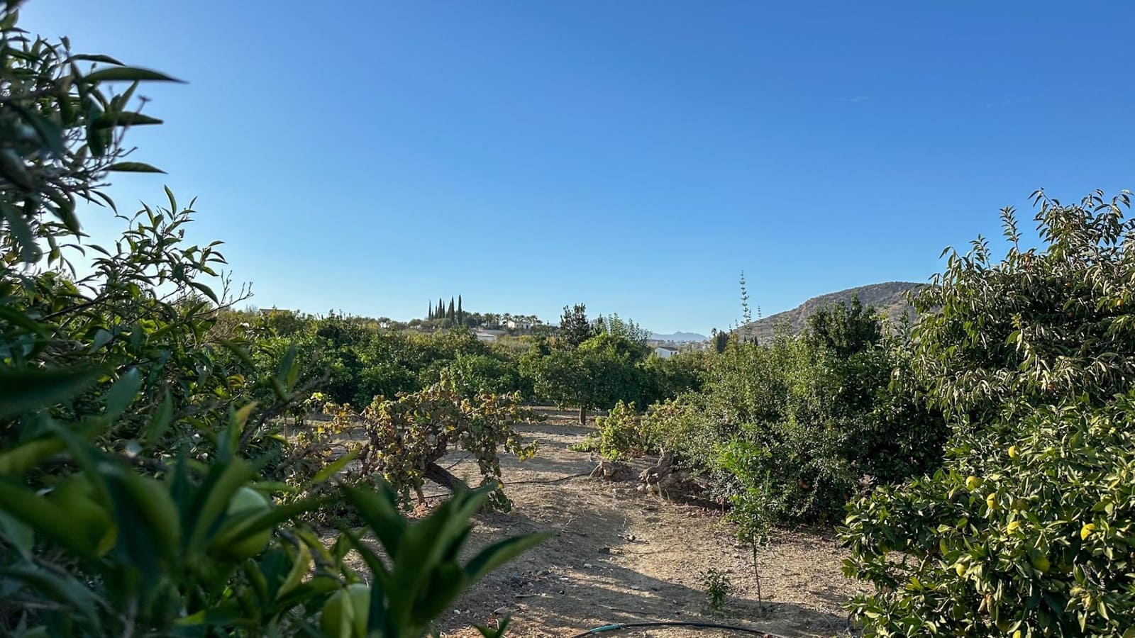 Terreno para Construção para venda em Alhaurin el Grande - 170 000 € (Ref: 9338966)