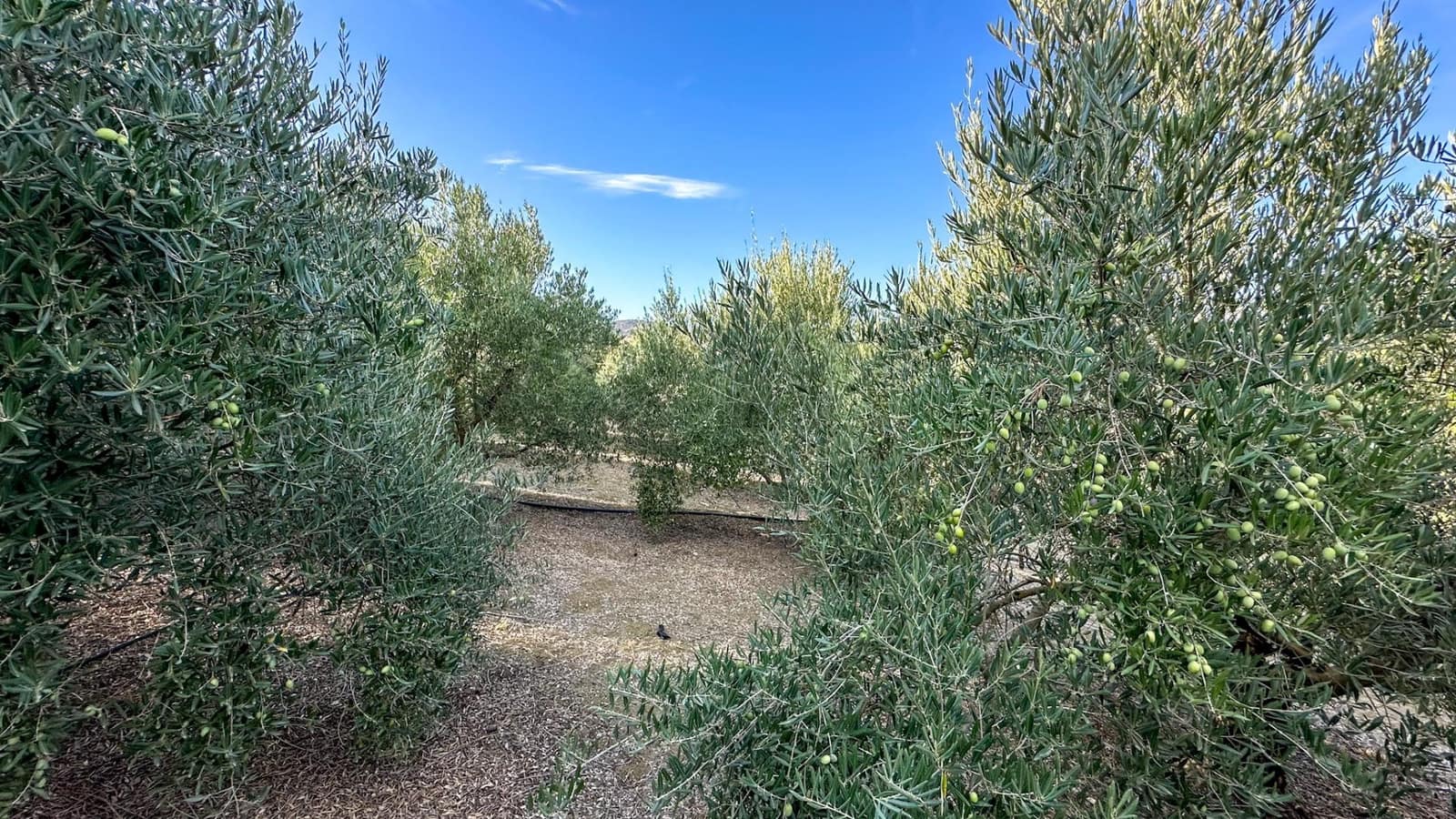 Terreno para Construção para venda em Alhaurin el Grande - 170 000 € (Ref: 9338966)