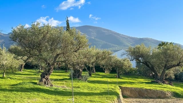 Tomt till salu i Alhaurín el Grande - 230 000 € (Ref: 9338971)