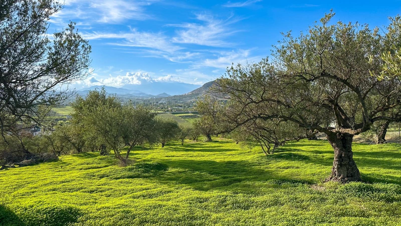 Building Plot for sale in Alhaurin el Grande - € 230,000 (Ref: 9338971)