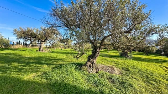 Tomt till salu i Alhaurín el Grande - 230 000 € (Ref: 9338971)