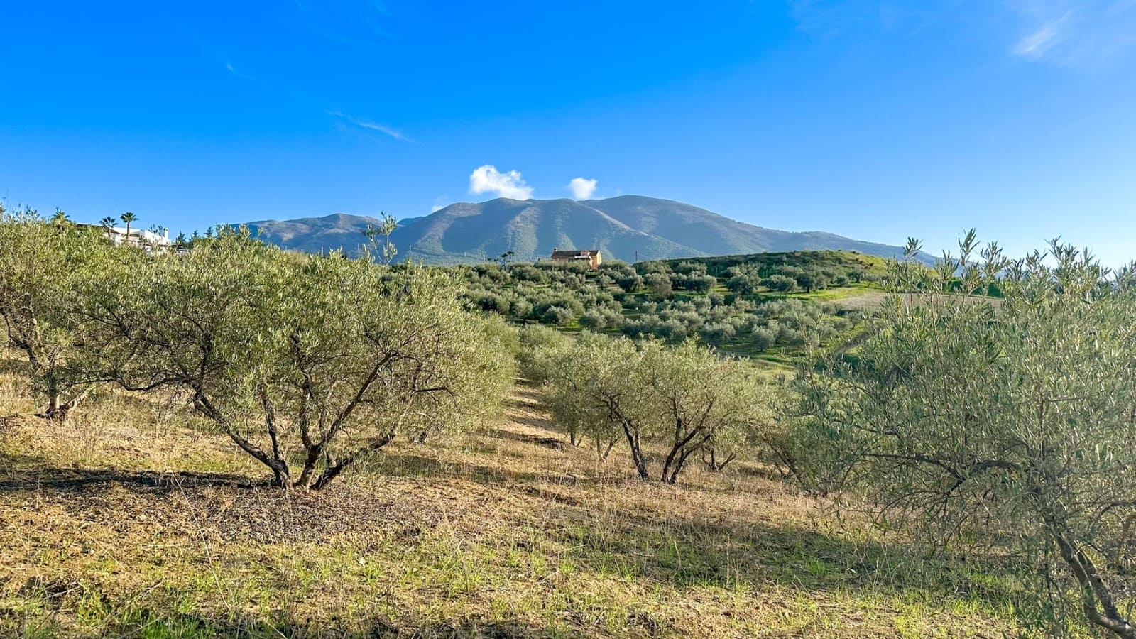 Building Plot for sale in Alhaurin el Grande - € 230,000 (Ref: 9338971)